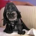 Avatar: Darv