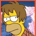 Avatar: homer
