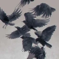 Avatar: Raven®